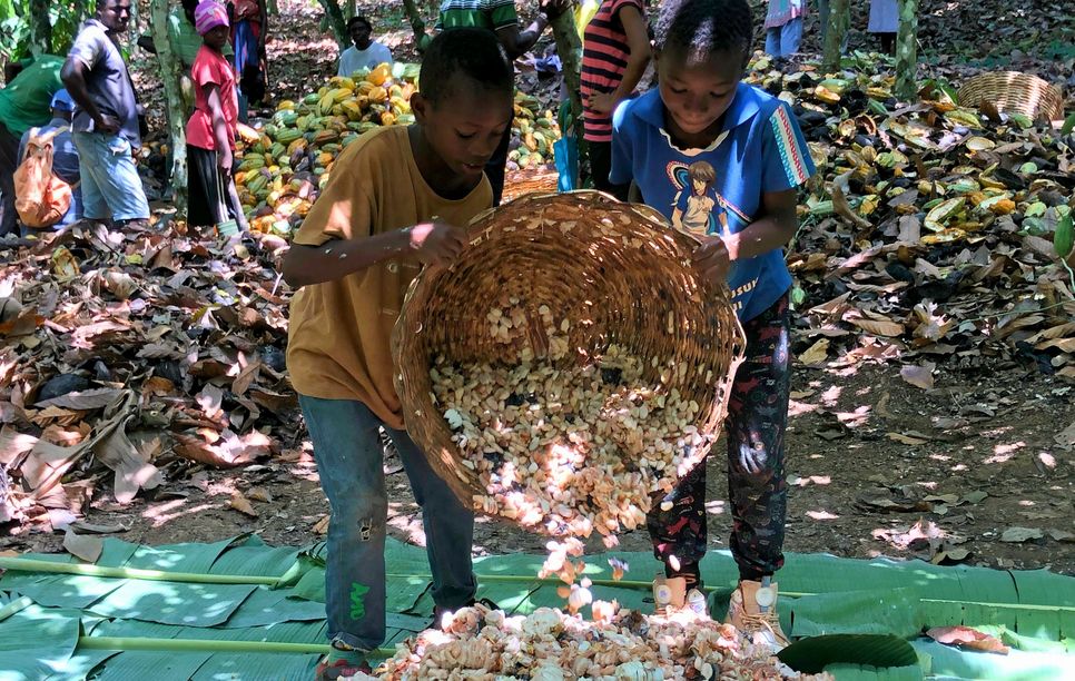 Kinder bei landwirtschaftlicher Arbeit in einem Land des Südens